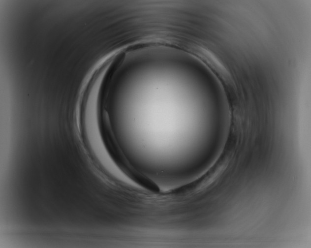 X0000093090788200710031811