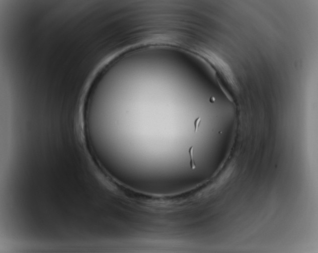 X0000093090792200710031811