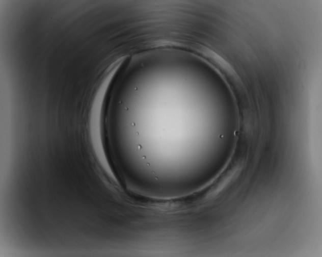 X0000093090793200710031811