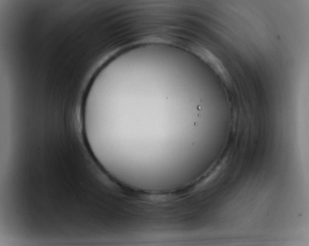 X0000093090796200710031811