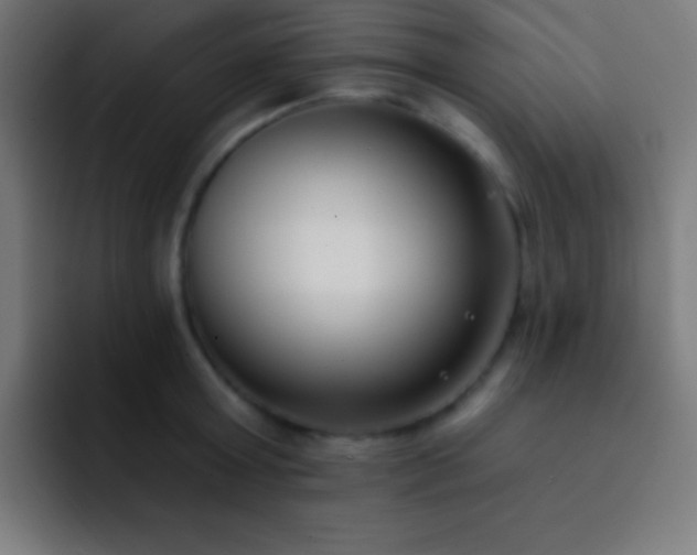 X0000093090803200710031811