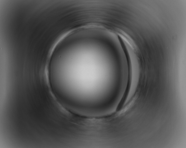 X0000093090812200710031811