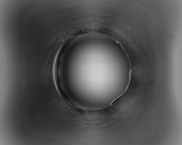 X0000093090818200710031810