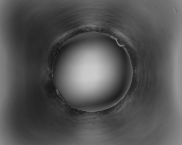 X0000093090822200710031810