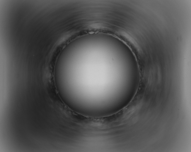 X0000093090823200710031810