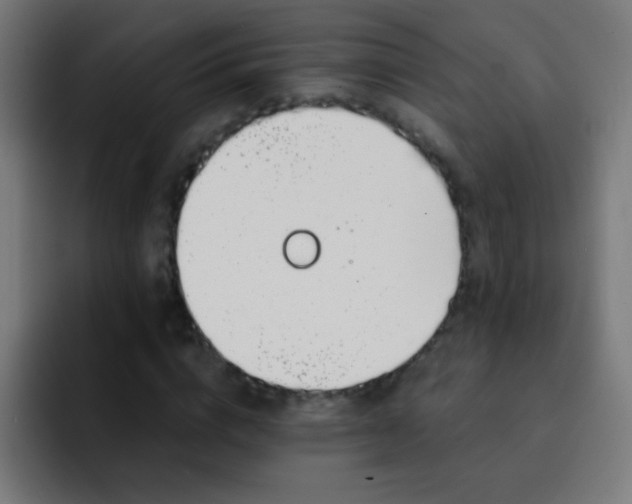 X0000093090824200710031810