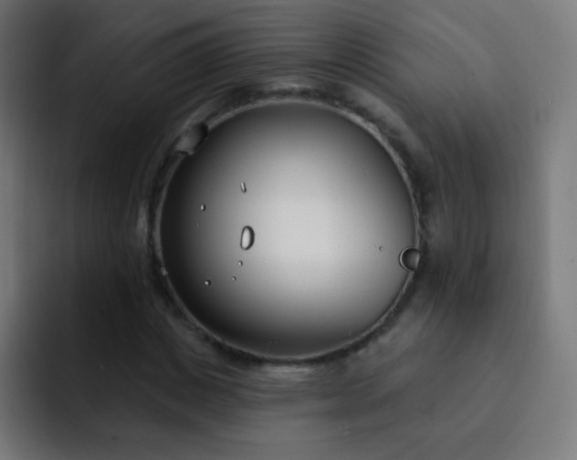 X0000093090825200710031810