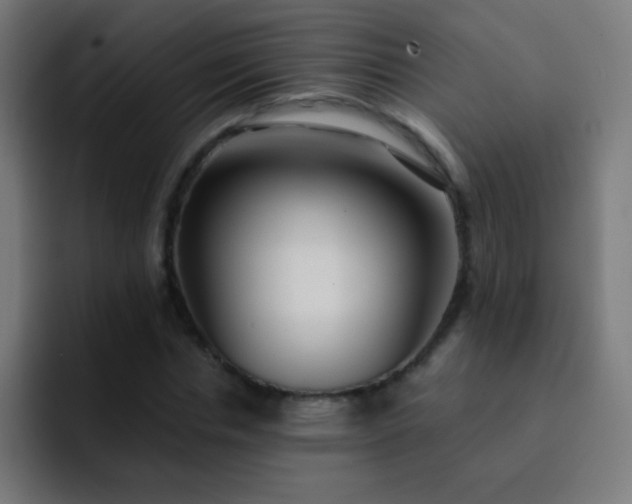 X0000093090826200710031810