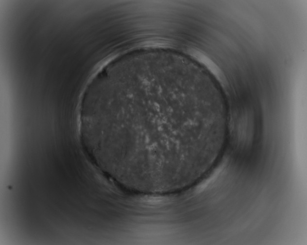 X0000093090829200710031810