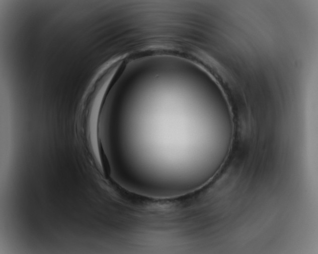 X0000093090830200710031810