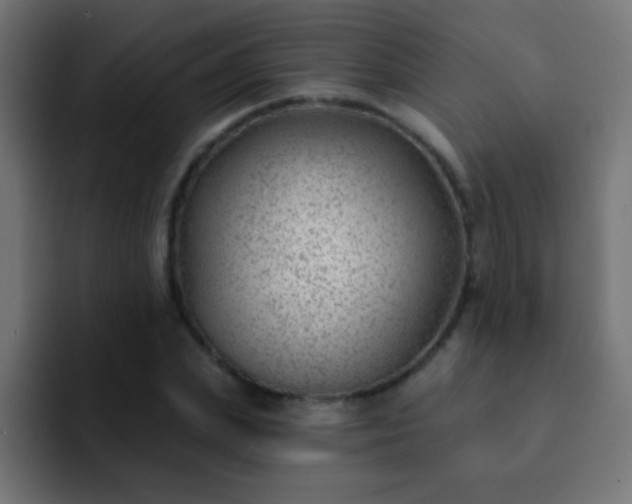 X0000093090831200710031810