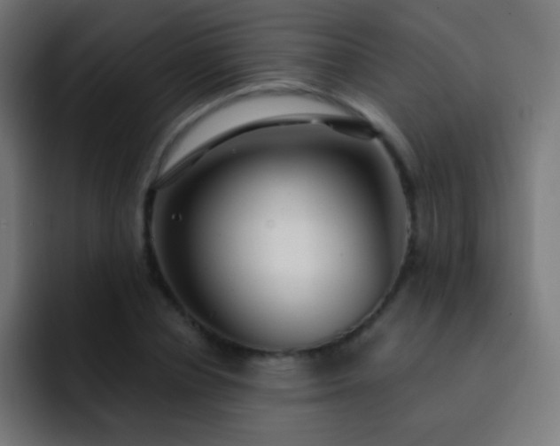 X0000093090834200710031810