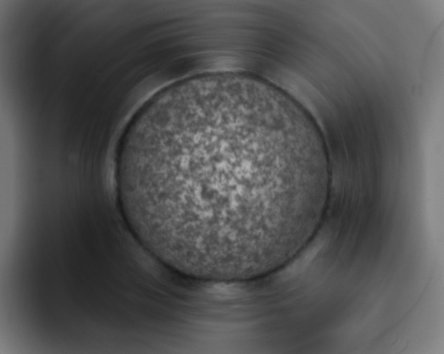 X0000093090835200710031810