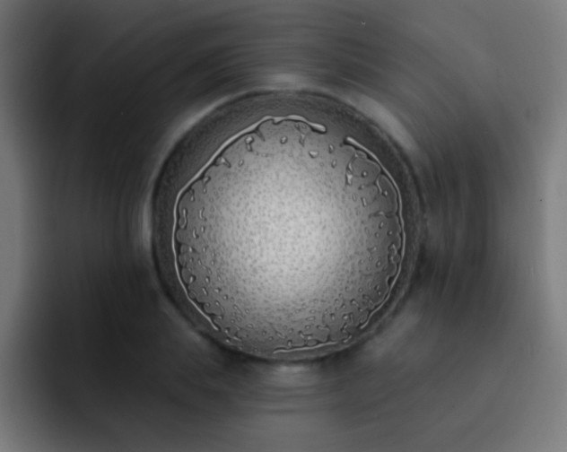 X0000093090839200710031810