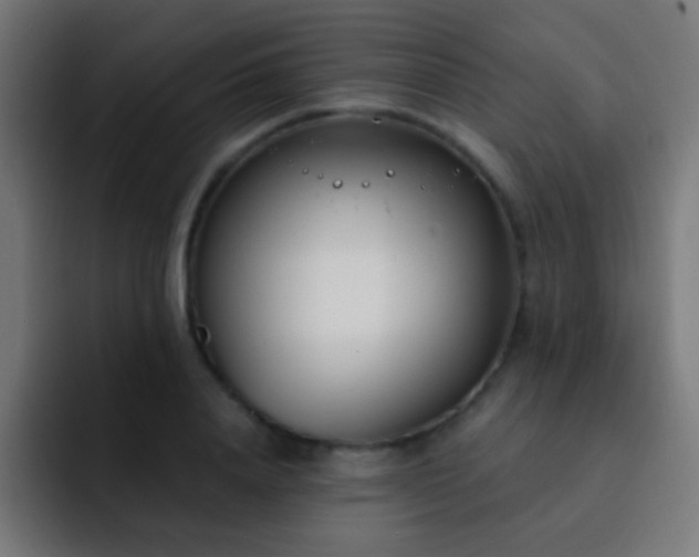 X0000093090840200710031810