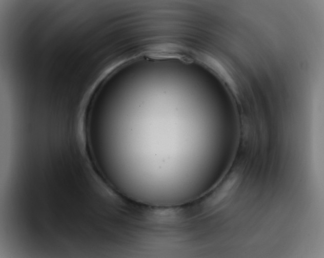 X0000093090843200710031810