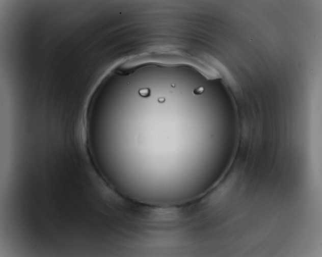 X0000093090844200710031810