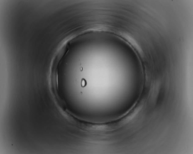 X0000093090845200710031810