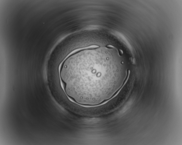 X0000093090851200710031810