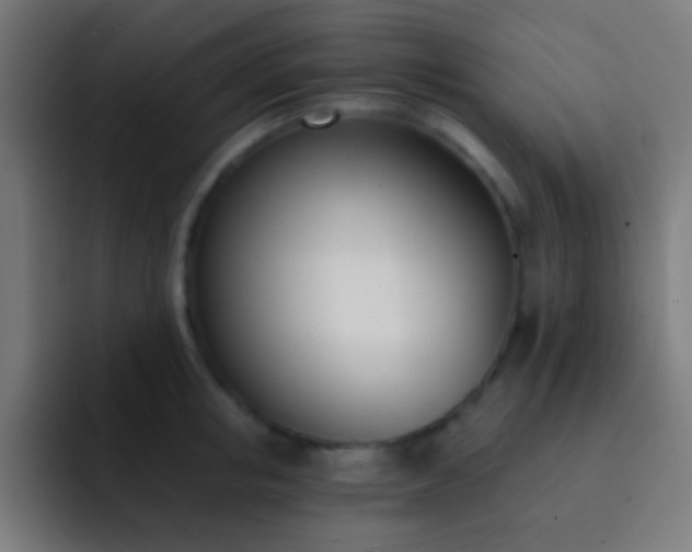 X0000093090853200710031810