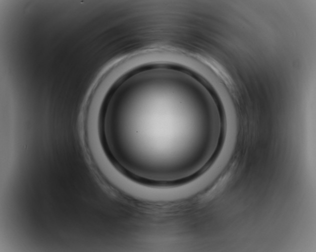 X0000093090854200710031810