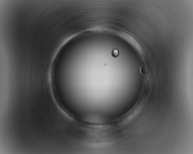 X0000093090855200710031810