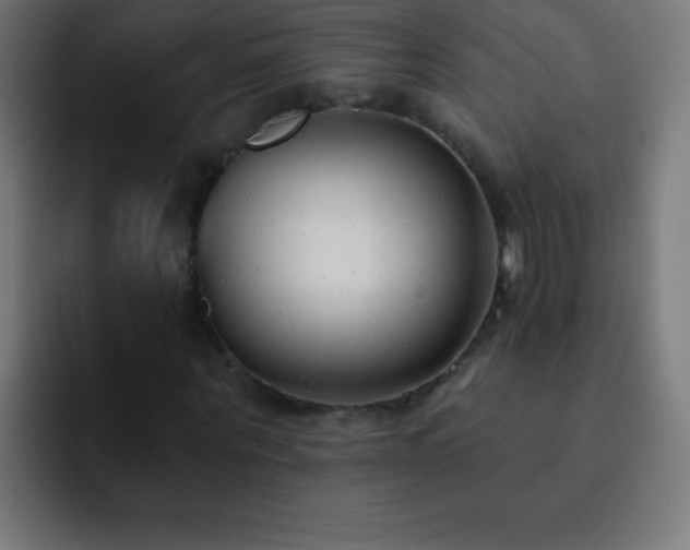 X0000093090867200710031810