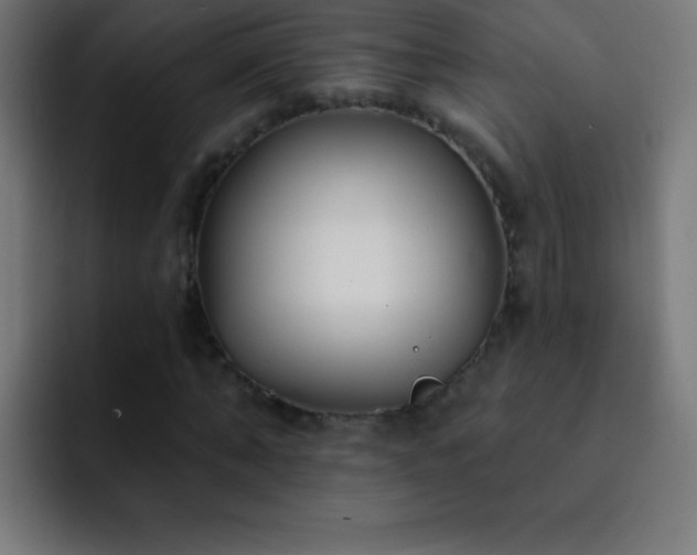 X0000093090870200710031810