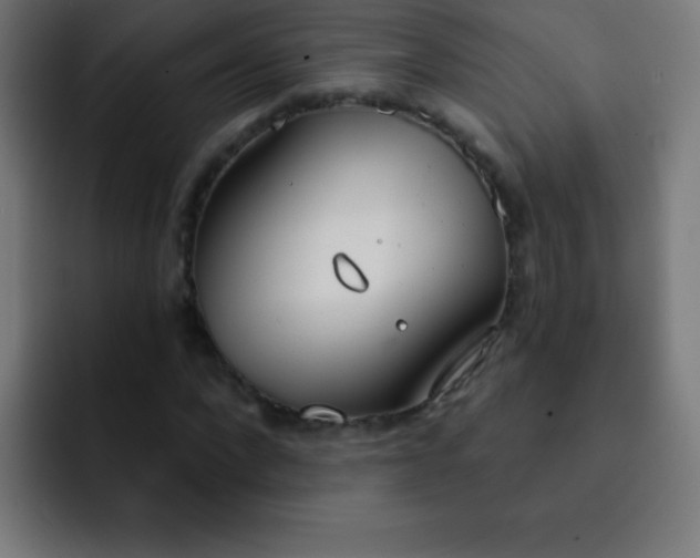 X0000093090872200710031810