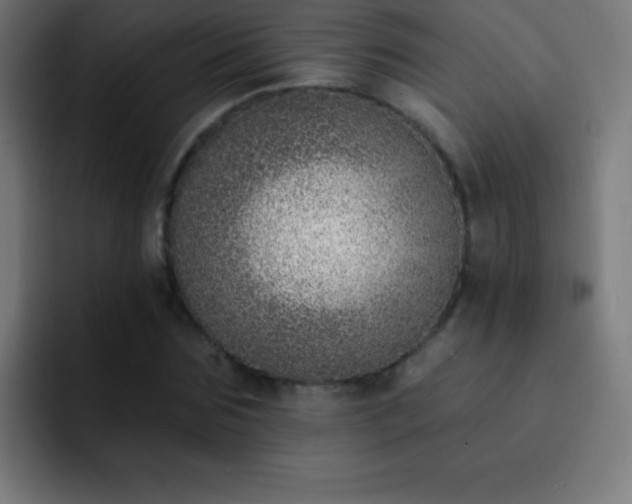 X0000093090875200710031810