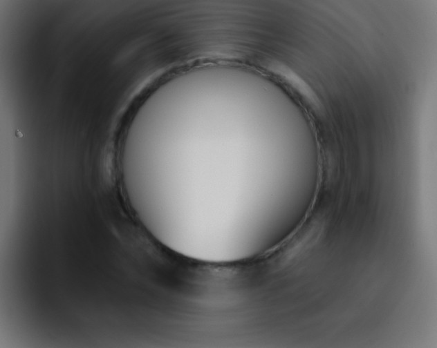 X0000093090878200710031810