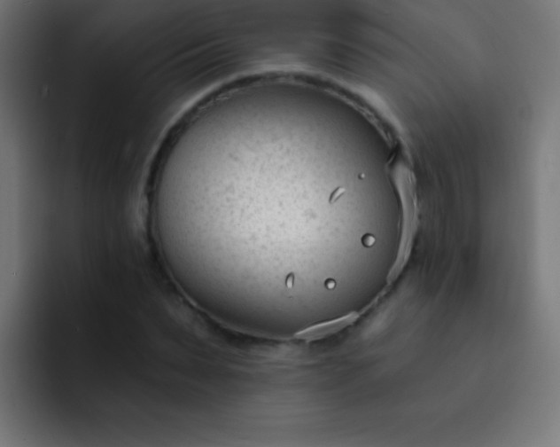 X0000093090879200710031810