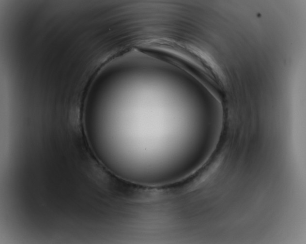 X0000093090881200710031810