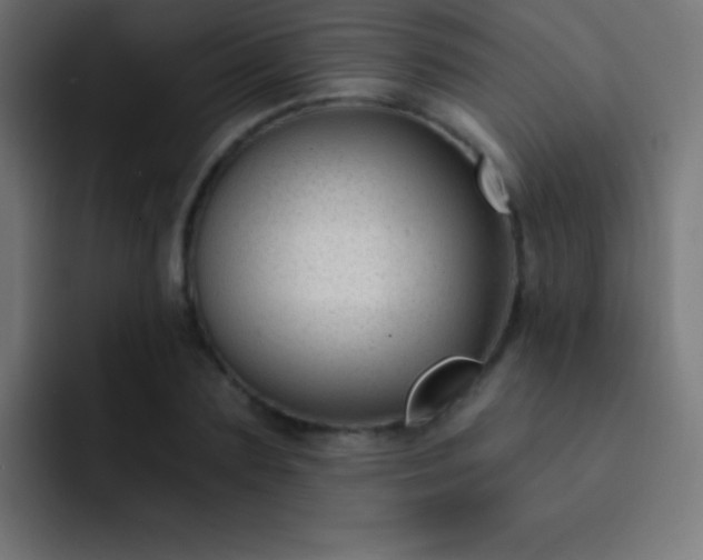 X0000093090883200710031810