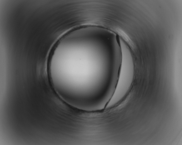 X0000093090884200710031810