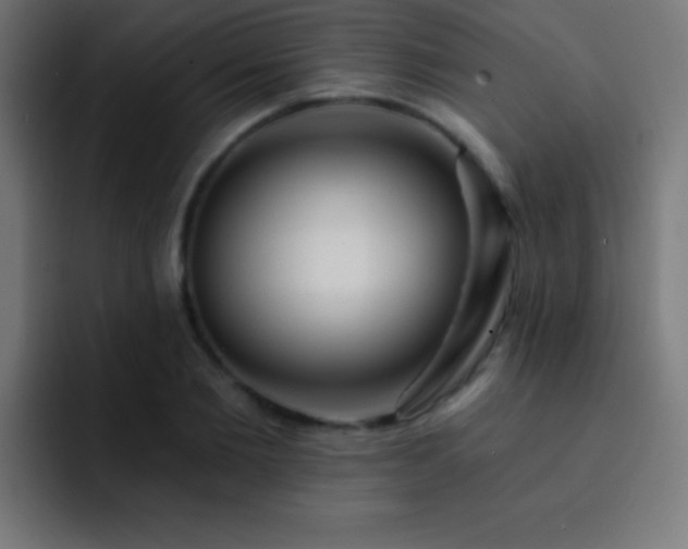 X0000093090885200710031810