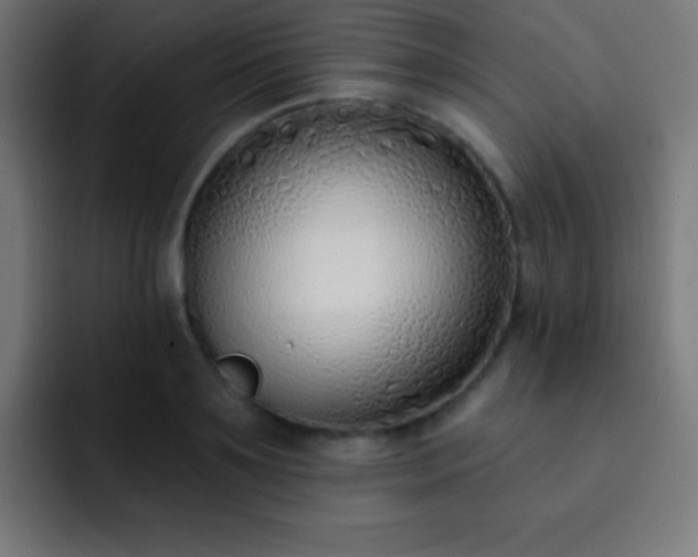 X0000093090891200710031810