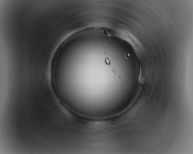 X0000093090894200710031810