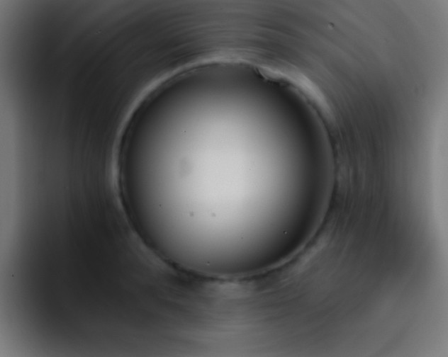 X0000093090896200710031810