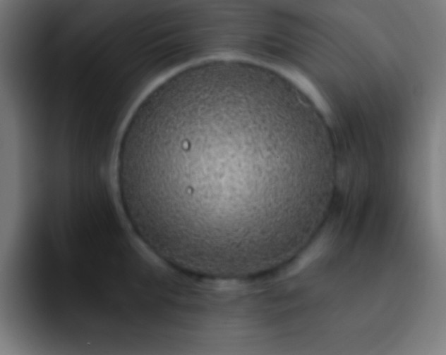 X0000093090903200710031810