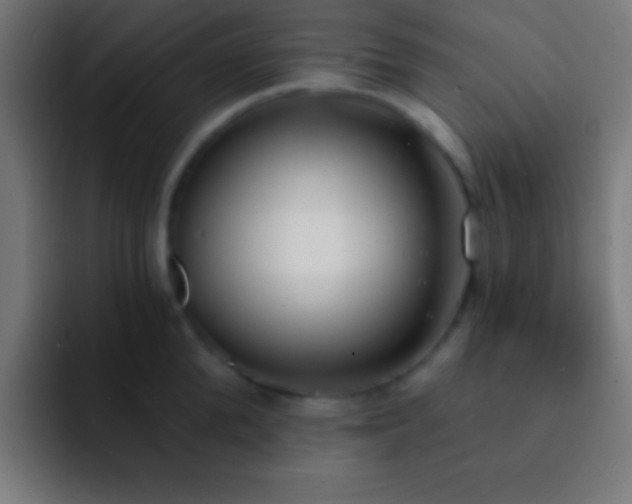 X0000093090904200710031810