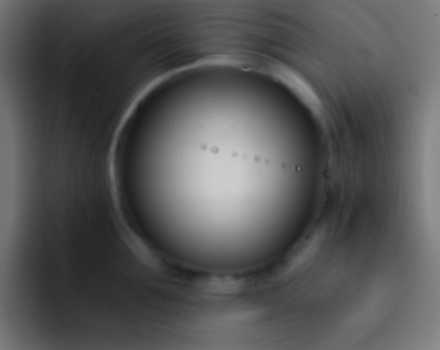 X0000093090907200710031810