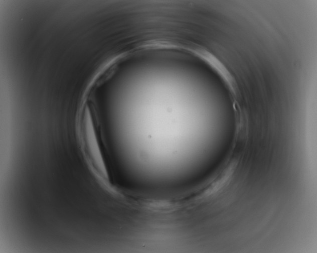 X0000093090909200710031809