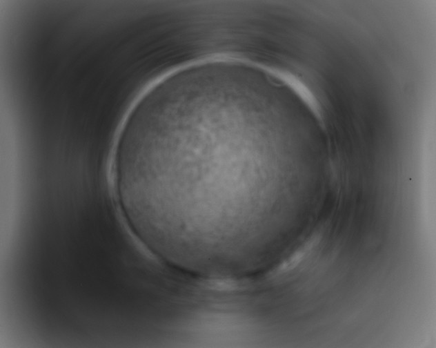 X0000093090911200710031809