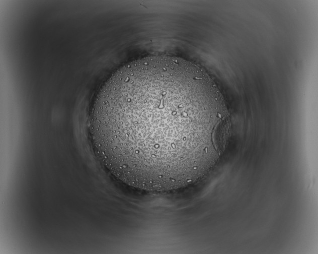 X0000093090913200710031809