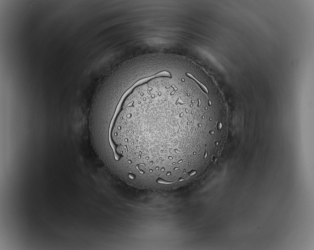 X0000093090917200710031809