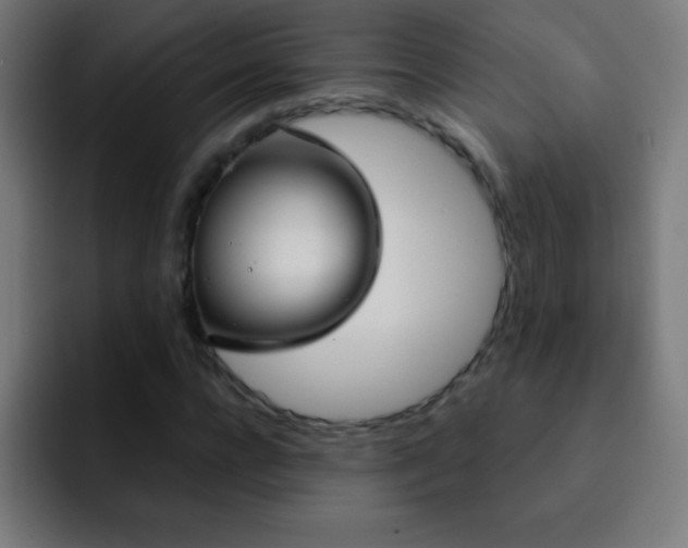 X0000093090920200710031809