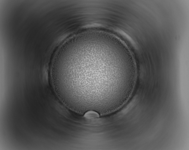 X0000093090921200710031809