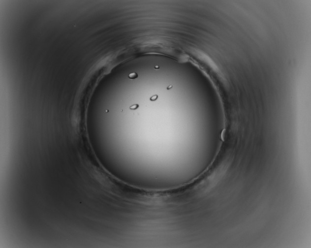 X0000093090922200710031809