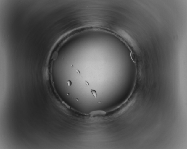 X0000093090924200710031809